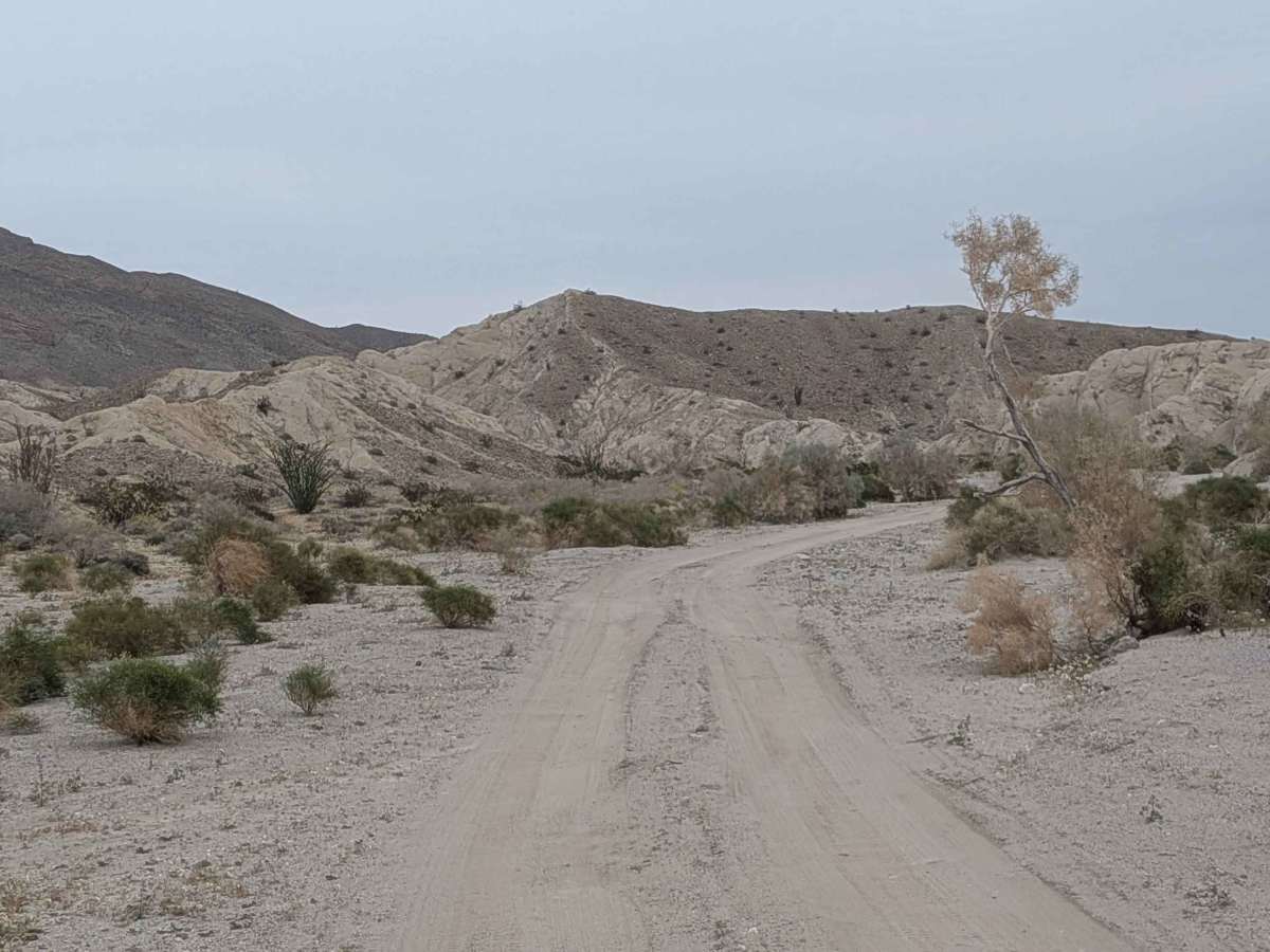 Coachwhip Canyon photo 4