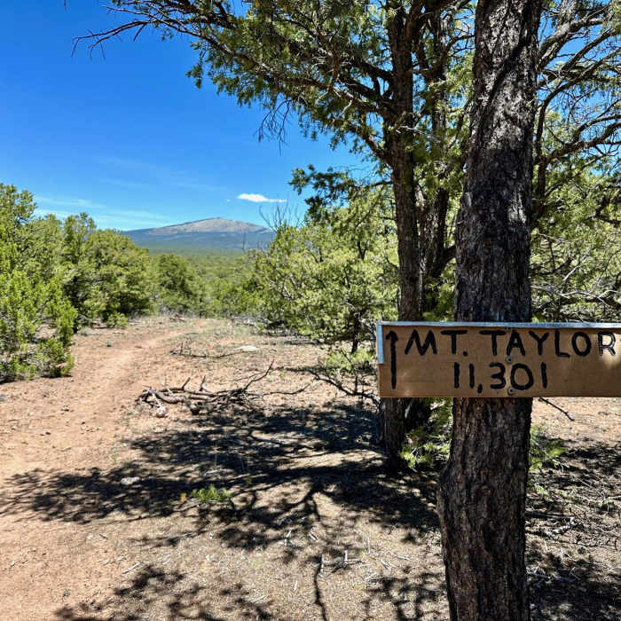 Near CDT: New Mexico Section 21