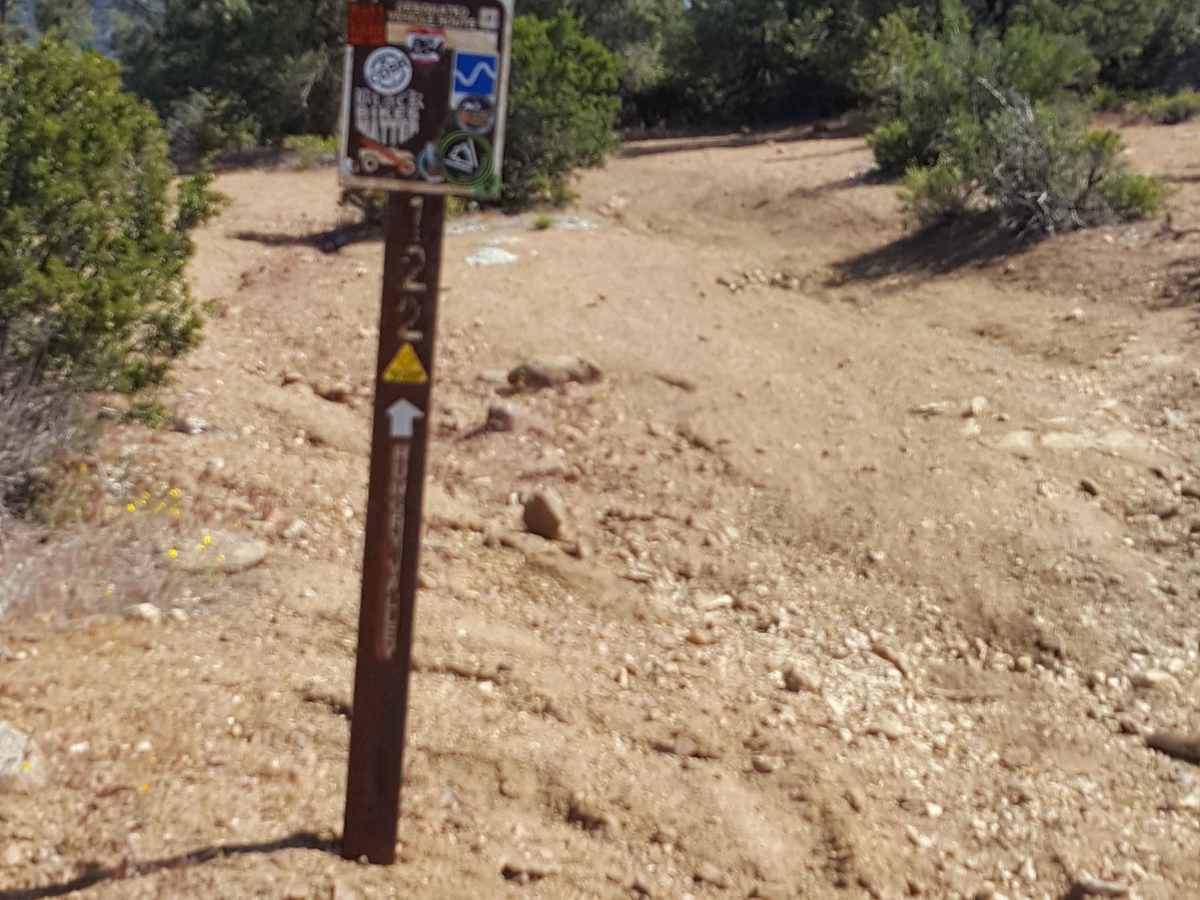 North Long Dave - FS 19W03 trail photo
