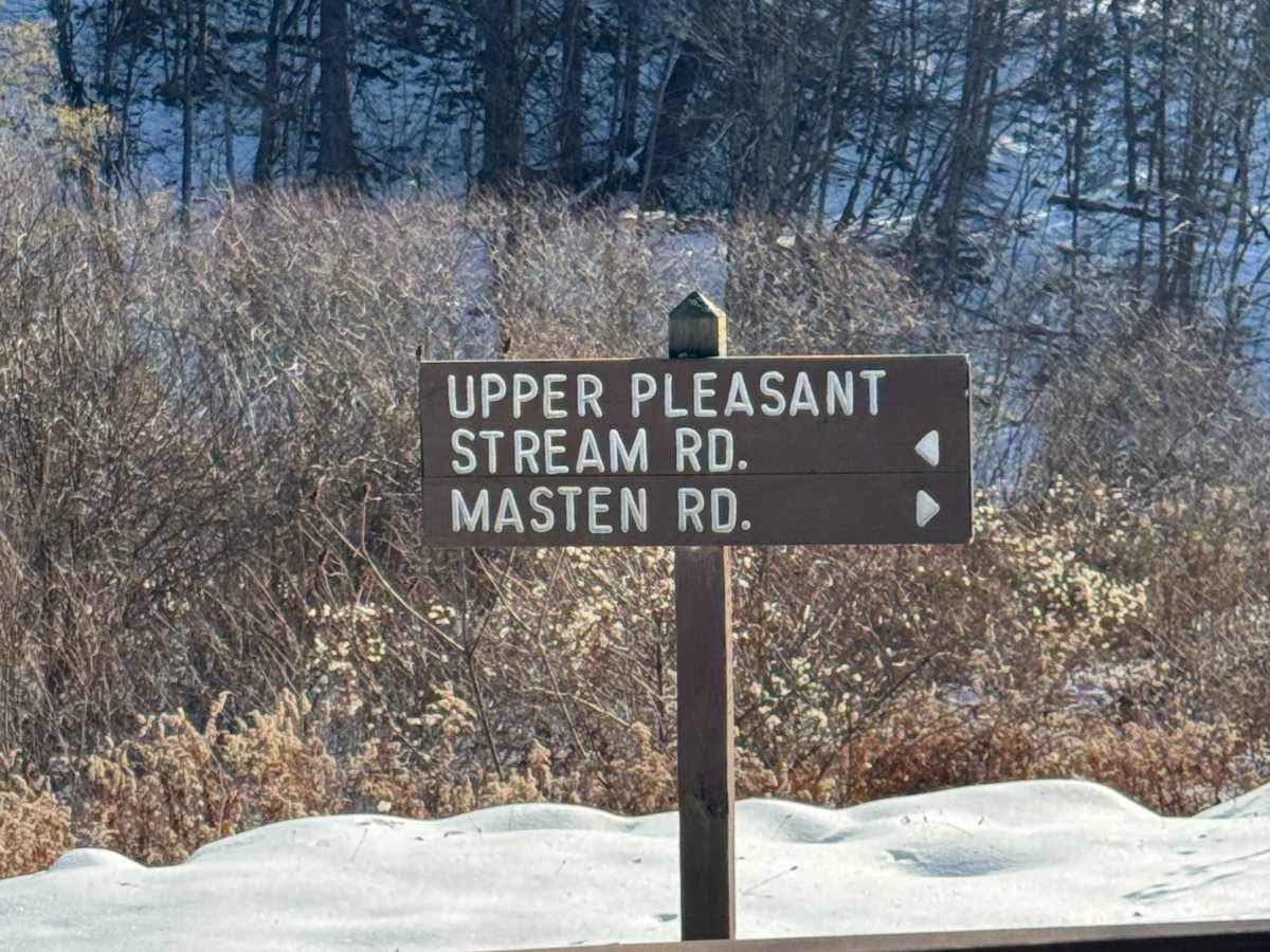Upper Pleasant Stream Road trail photo