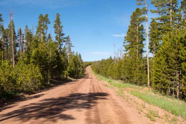 Louse Creek - FS 80155