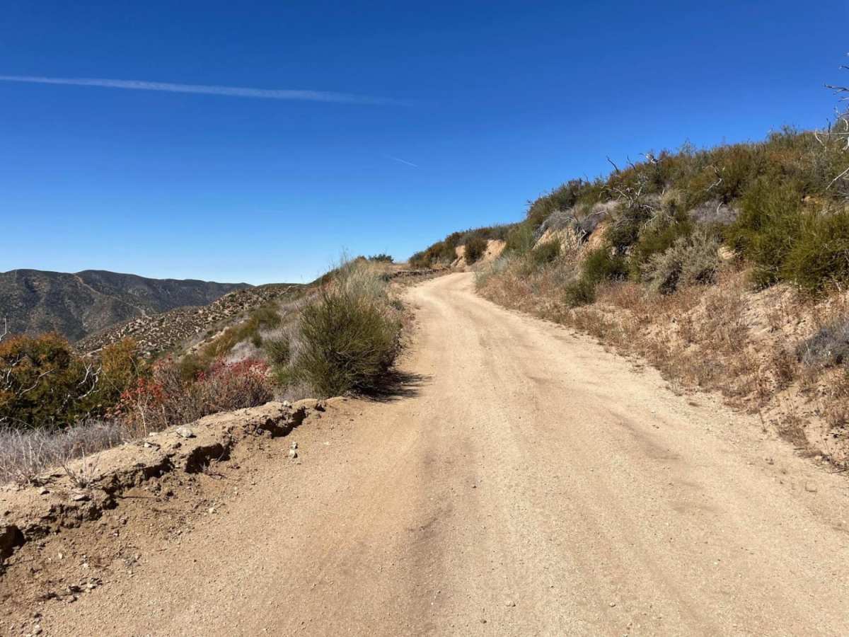 Maxwell Road photo 4