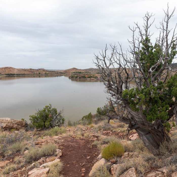 Near Pointe Near Pointe