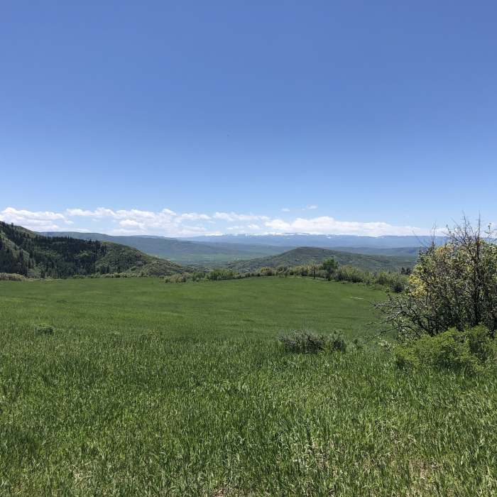 Near Mad Creek Trail