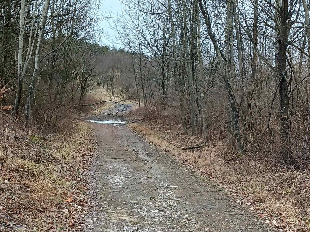 Trail 5E - Rock Run Recreation Area photo 5