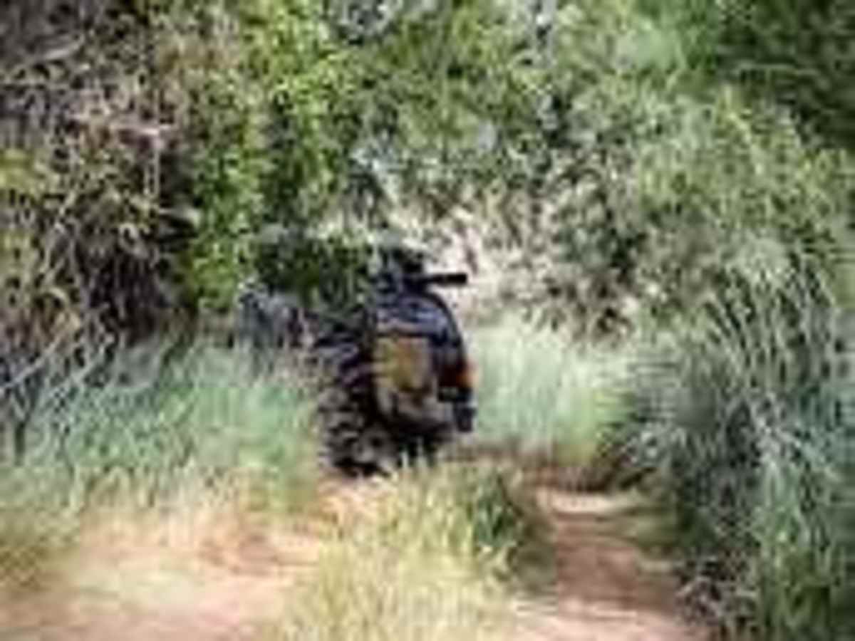 Cayuse Creek Cruise photo 5