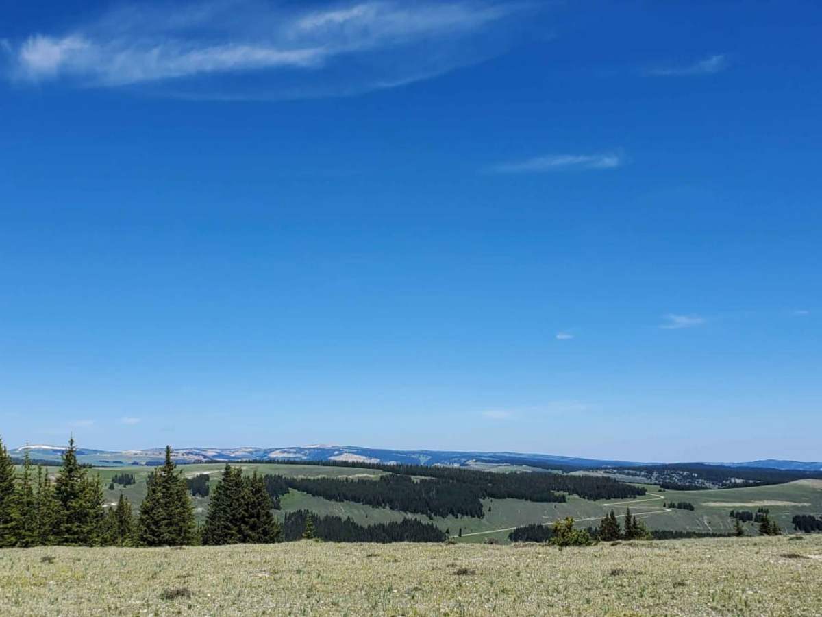 Bald Mountain photo 6