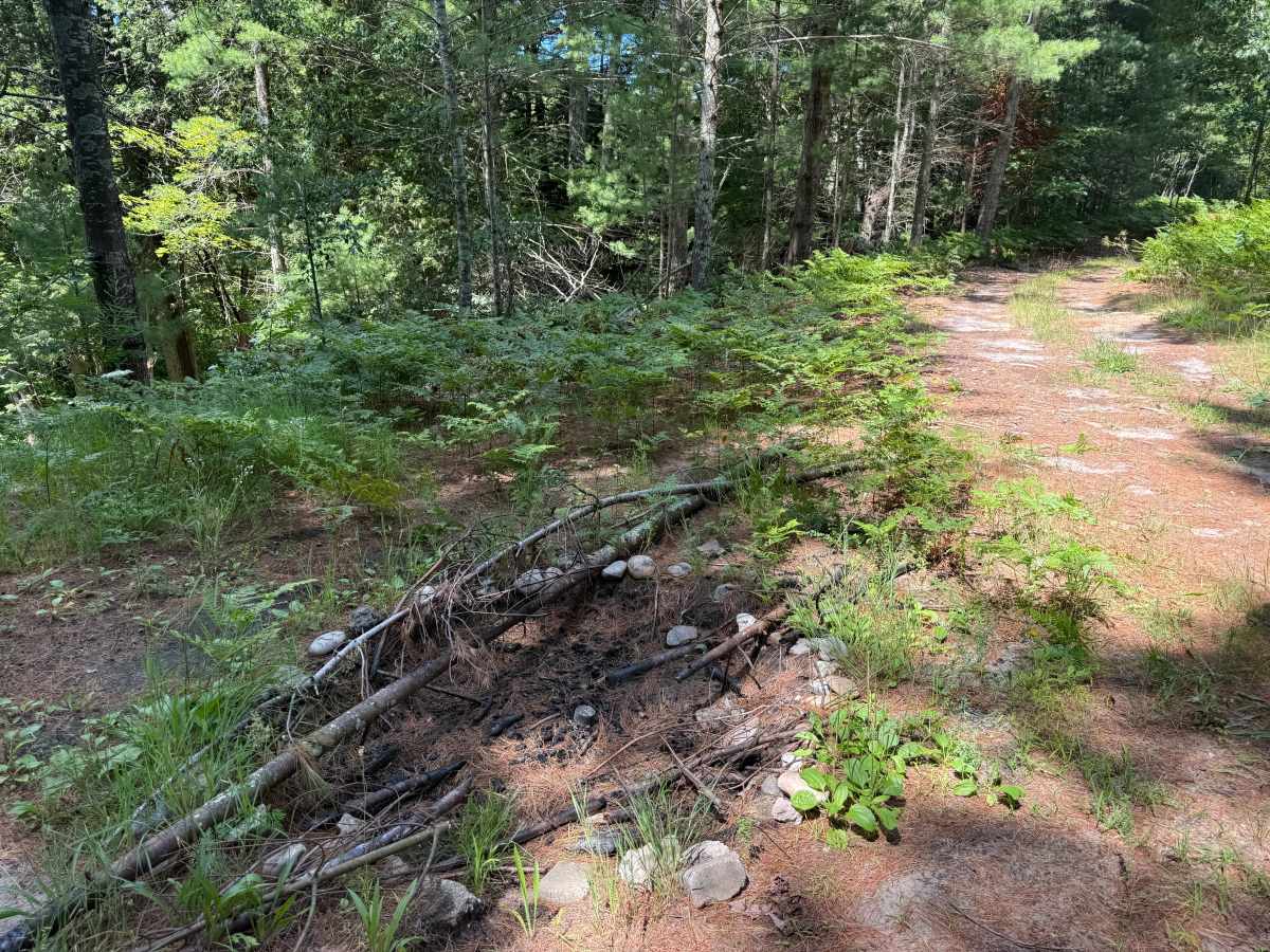 3CT Trail photo 6