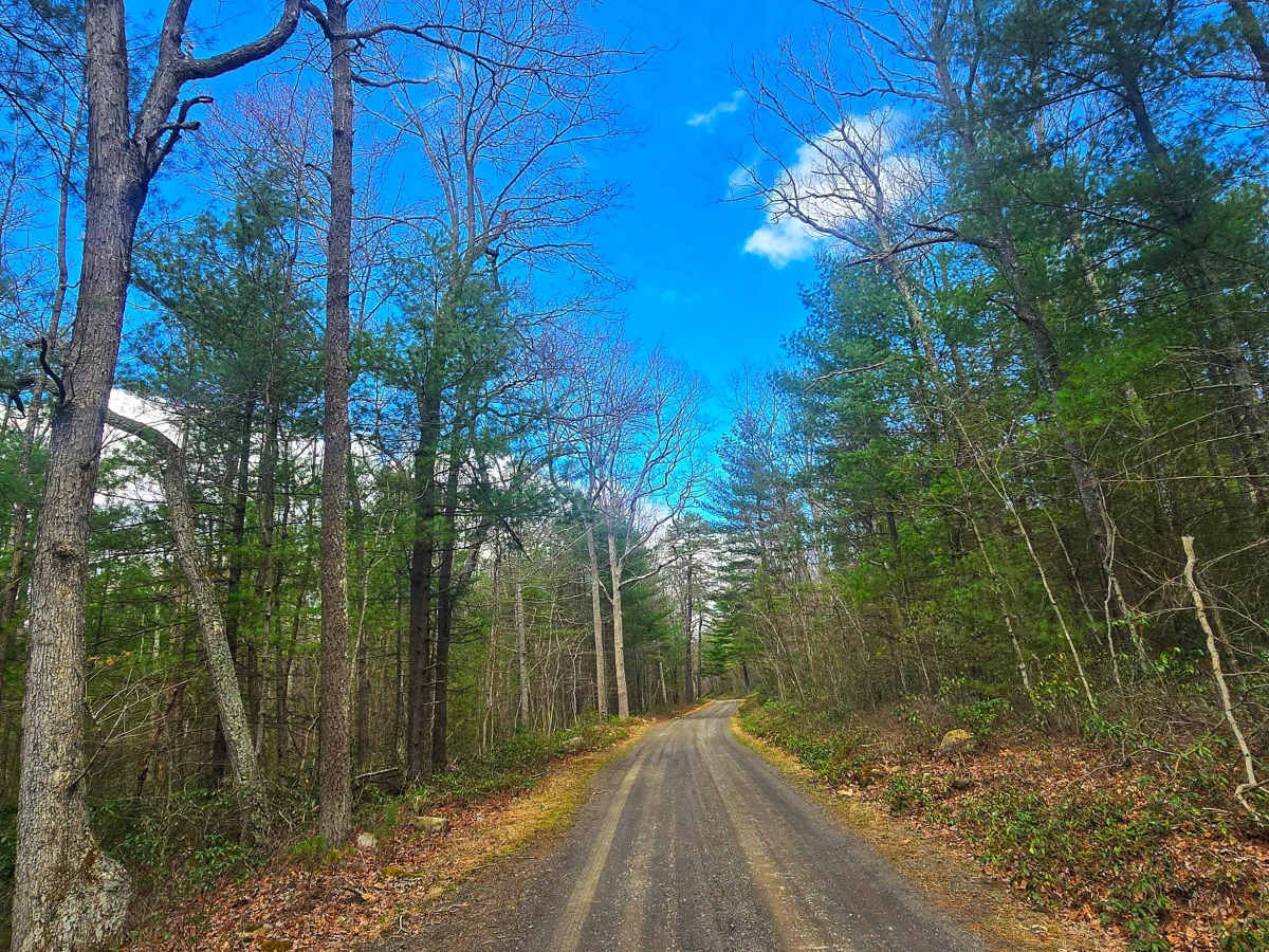 Three Springs Road photo 4
