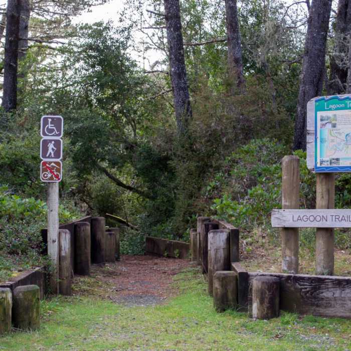 Near Lagoon Loop Trail