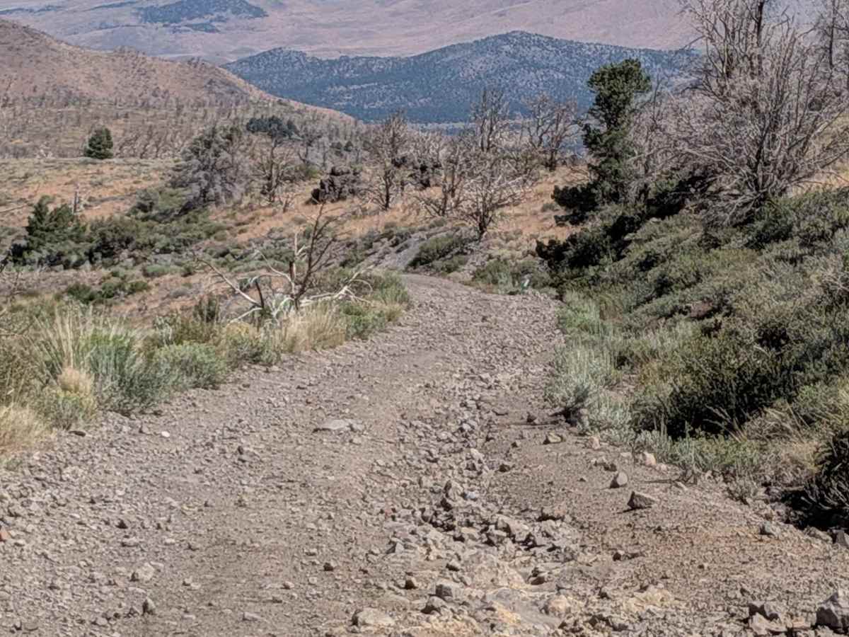 Big Spring Spur Road photo 2