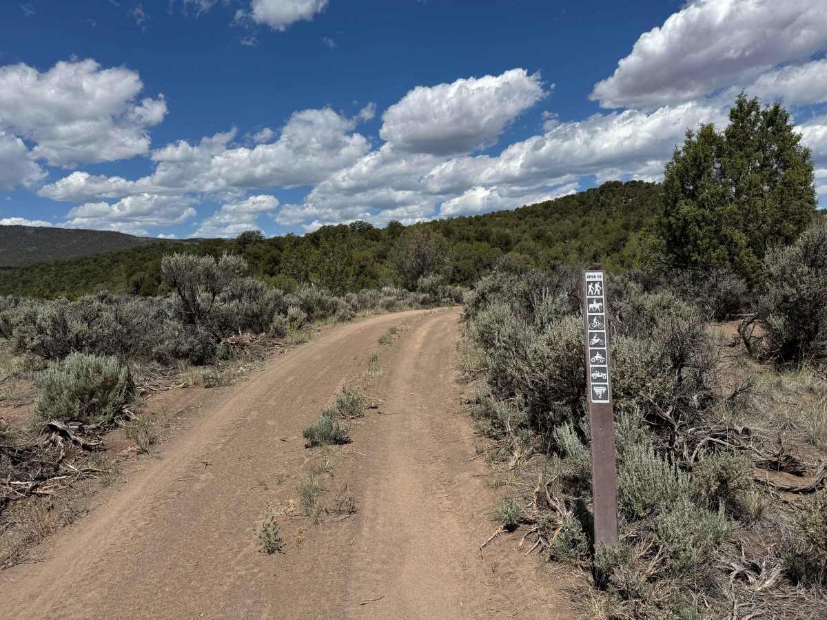 BLM 8473 photo 2