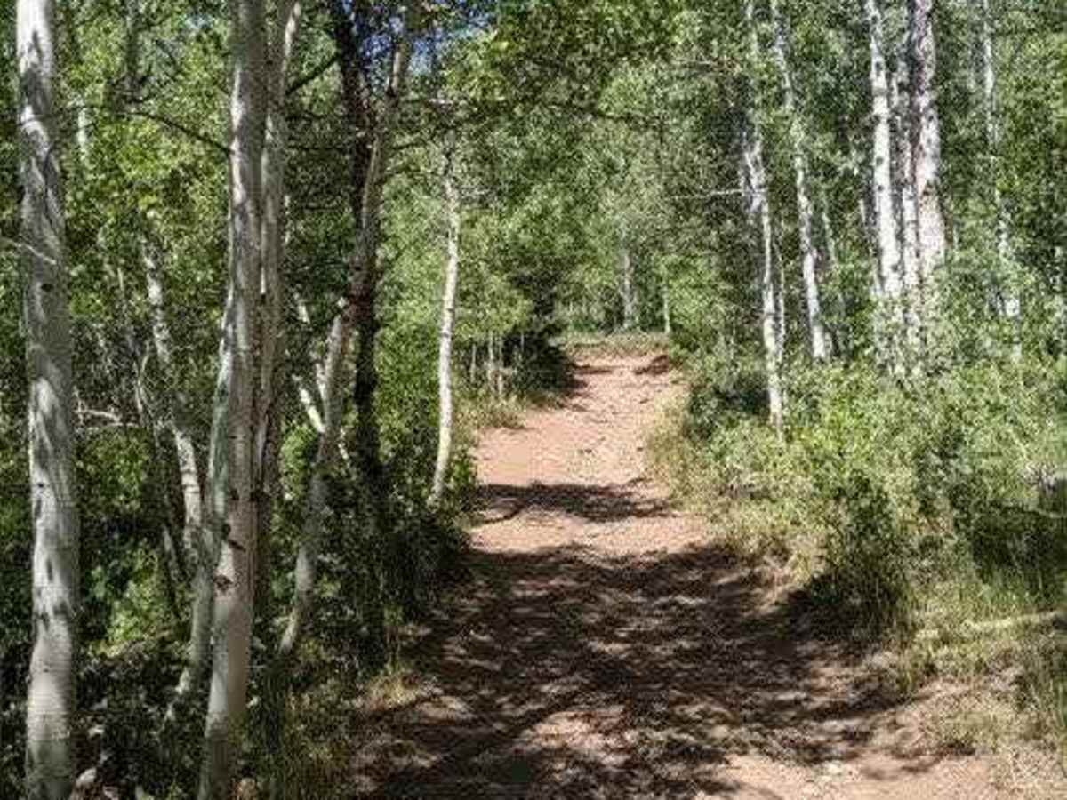 Hardware Ranch to Bear Lake photo 6