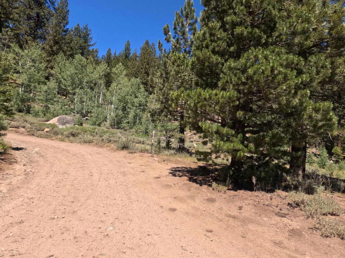 Scotts Lake Road - FS 31079 photo 6