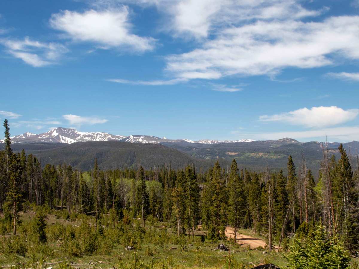 Blacks Fork - China Meadows - FS 80073 trail photo