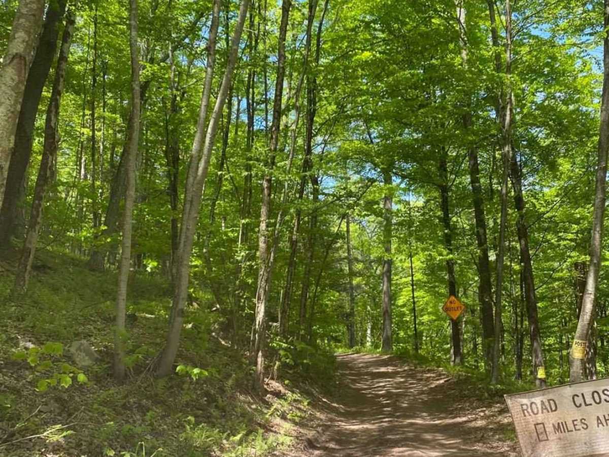 River Road photo 5