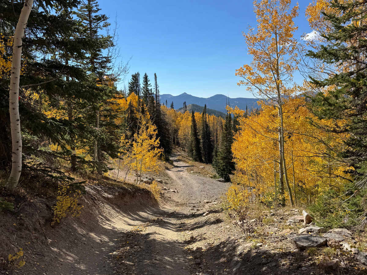 West Hahns Peak Road trail photo