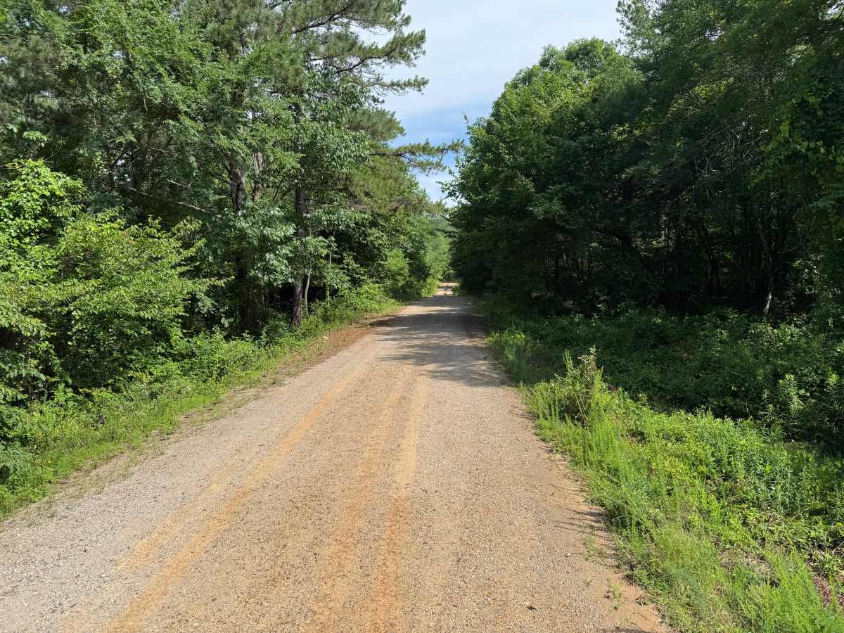 MccKeen trail photo