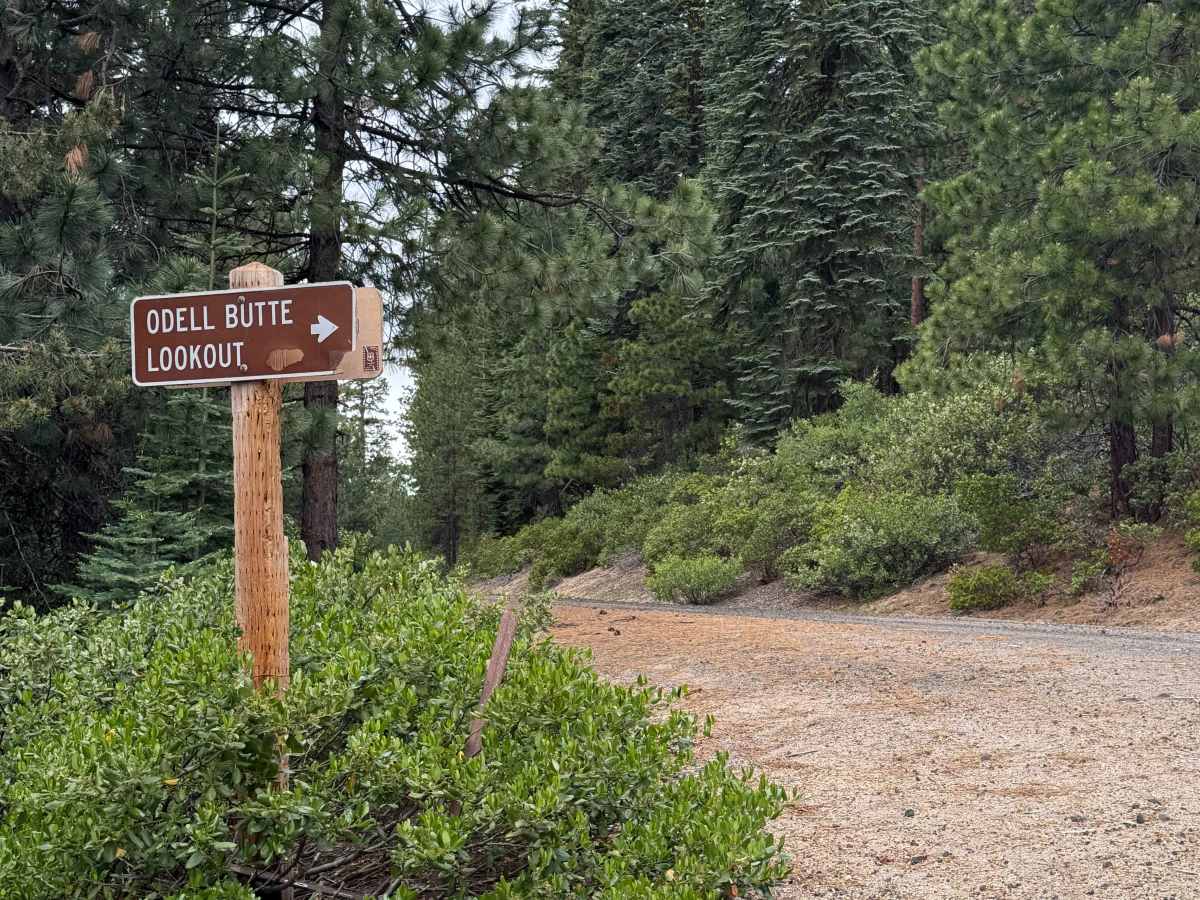 Odell Butte Lookout Trail photo 3