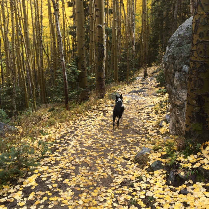 Near Double Baldy with a side of Redondo