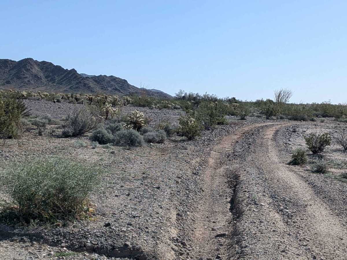 Queen Ester Road trail photo