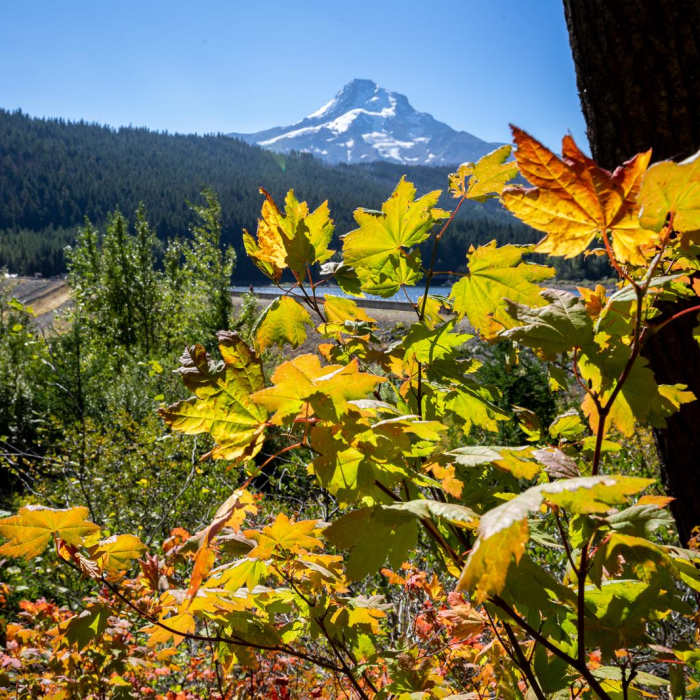 Near Laurance Lake High Ridge Hike