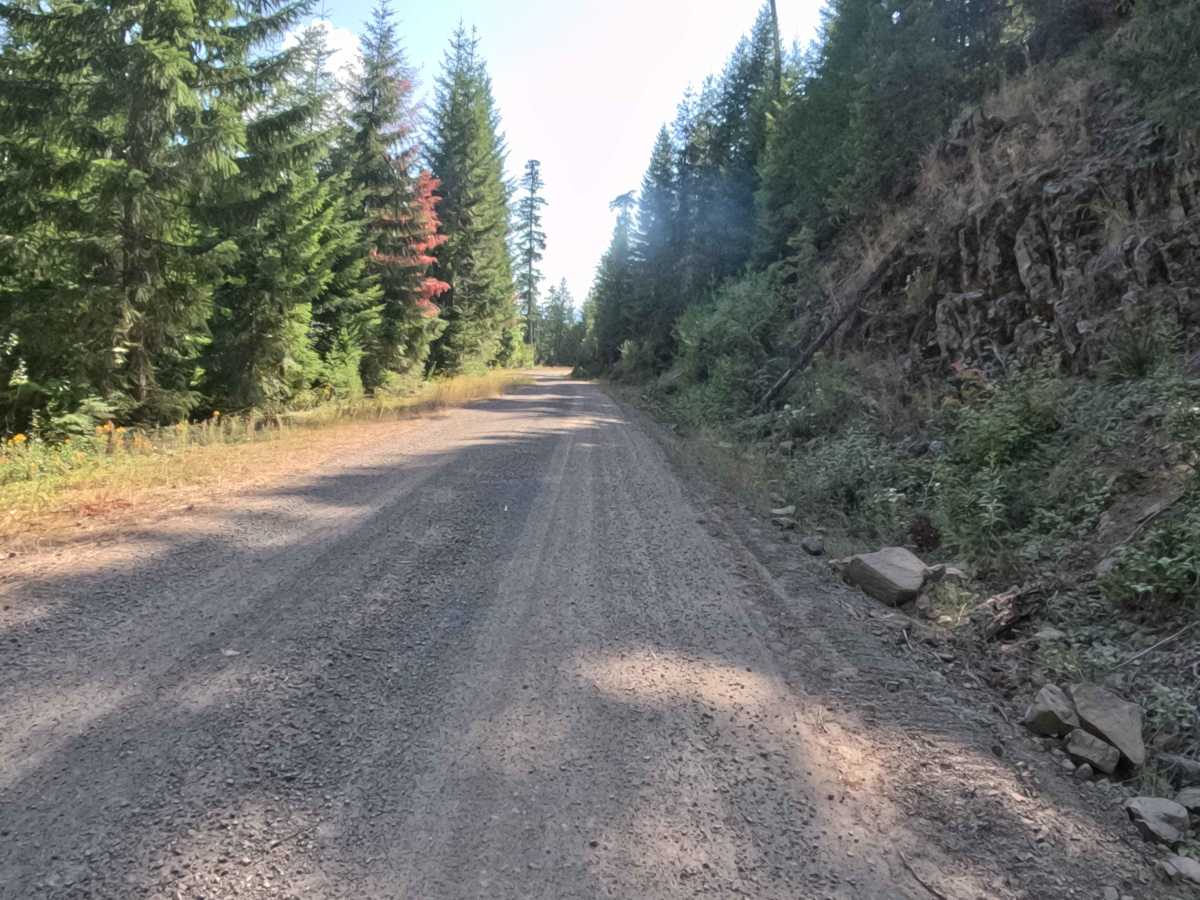 Parish Lake Road - FS 2266000 photo 5