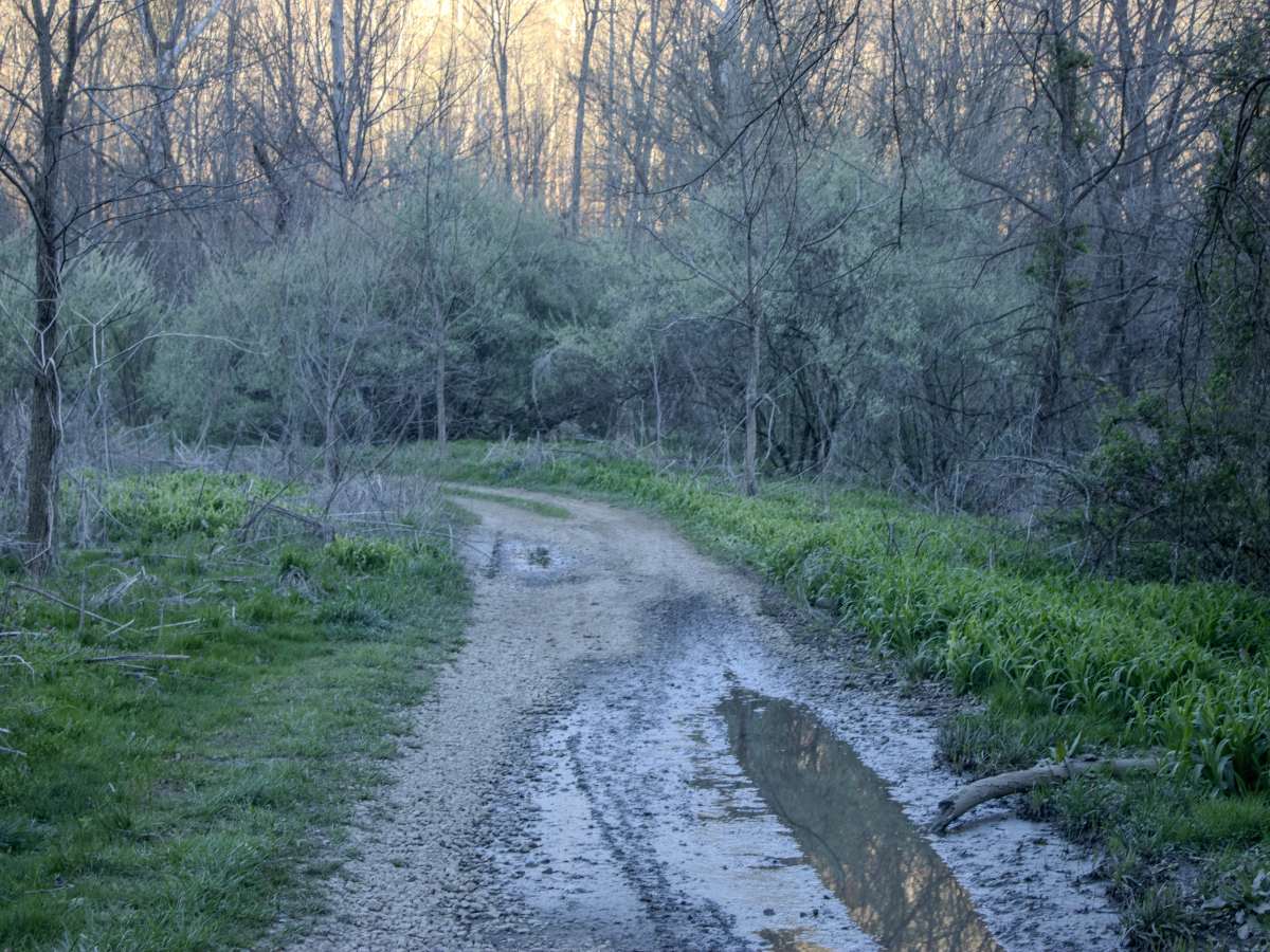 Lowe Cemetary Road photo 3