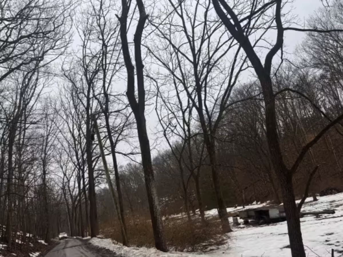 Ridge Valley Road  photo 4