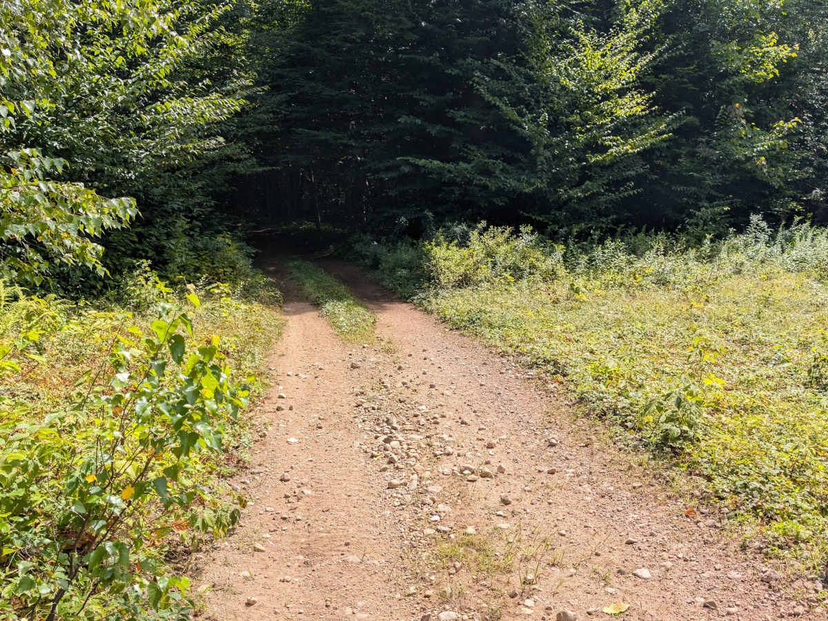 Grass River Trail photo 4