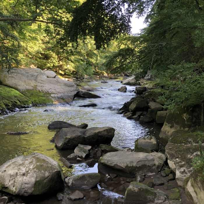 Slippery Rock Creek from Kildoo Trail. Near Alpha Pass Trail