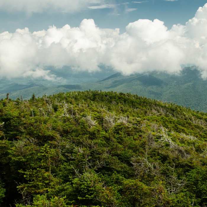 Near North Twin, South Twin + Galehead Mountains