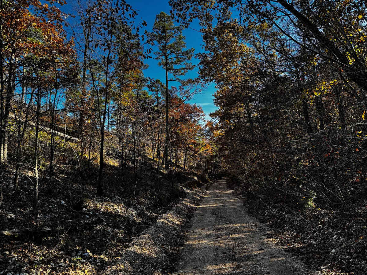 WMA Road 1245 trail photo