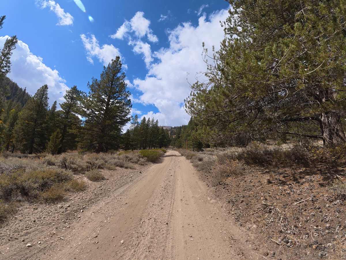 Wolf Creek Spur Road photo 2