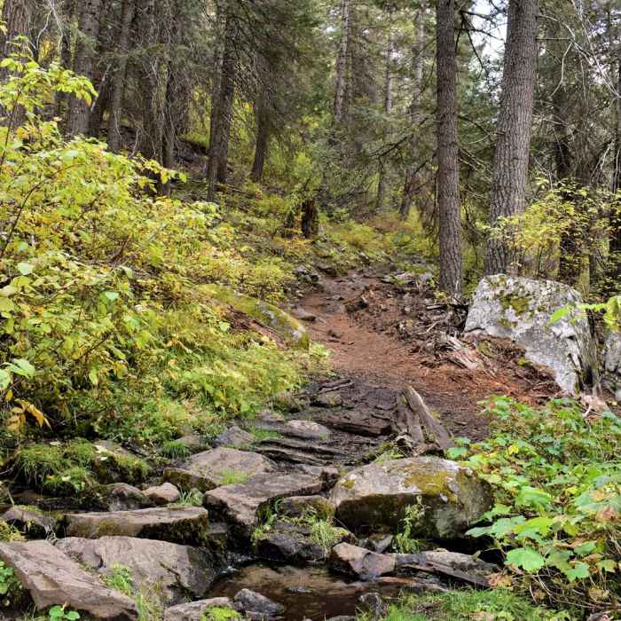 Near Goose Creek Falls