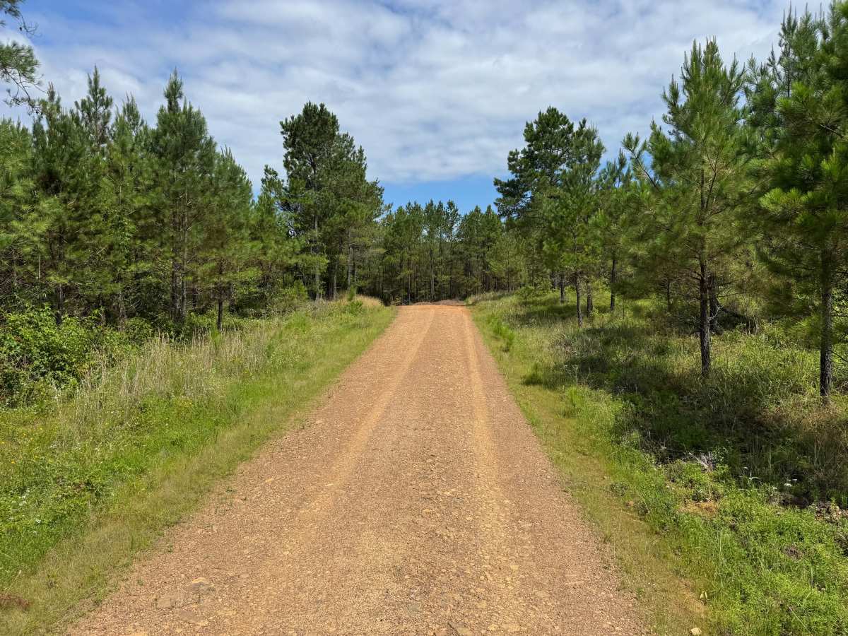 Onyx Trail photo 5