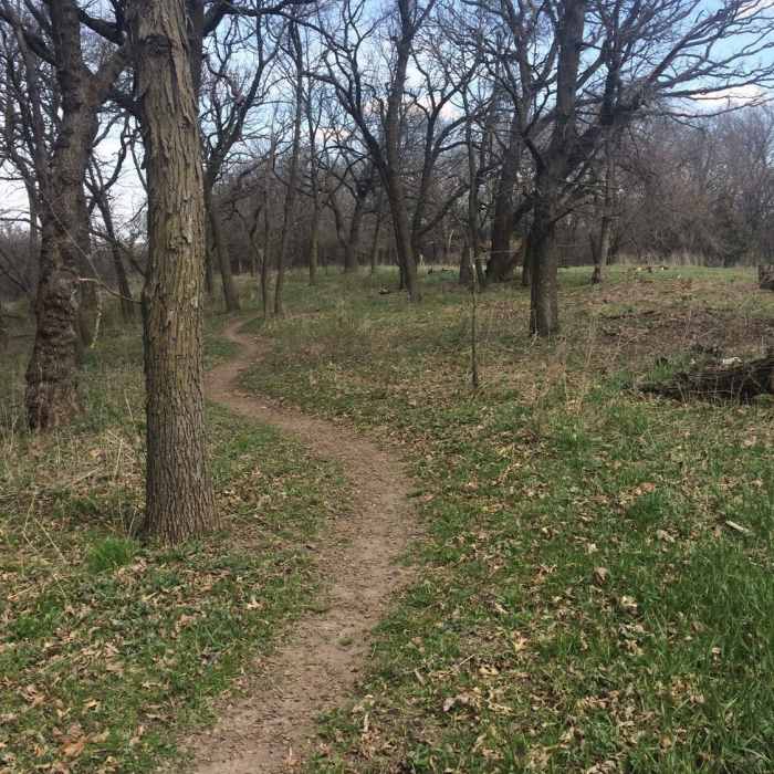 Great singletrack through at Whiterock Conservancy around the campground. Near Little Dipper