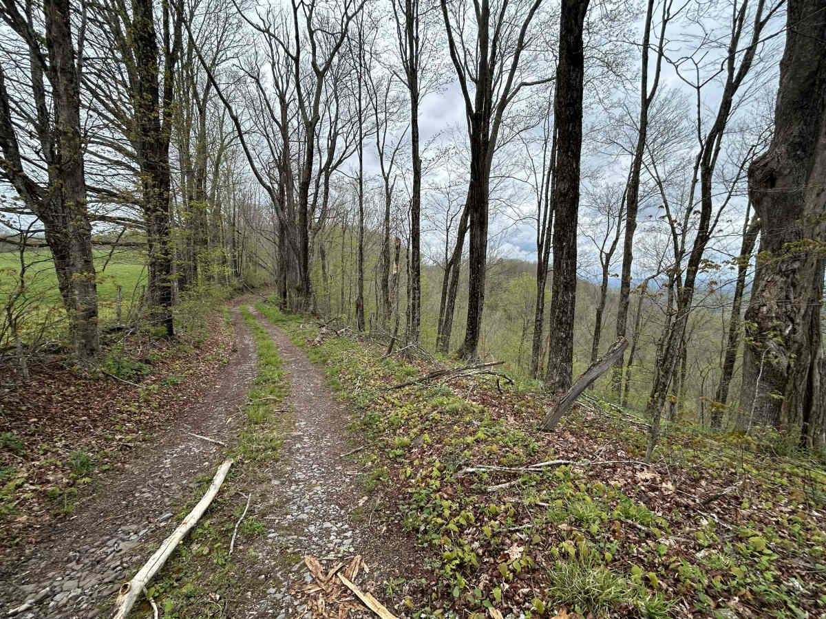 Chestnut Ridge Road photo 5