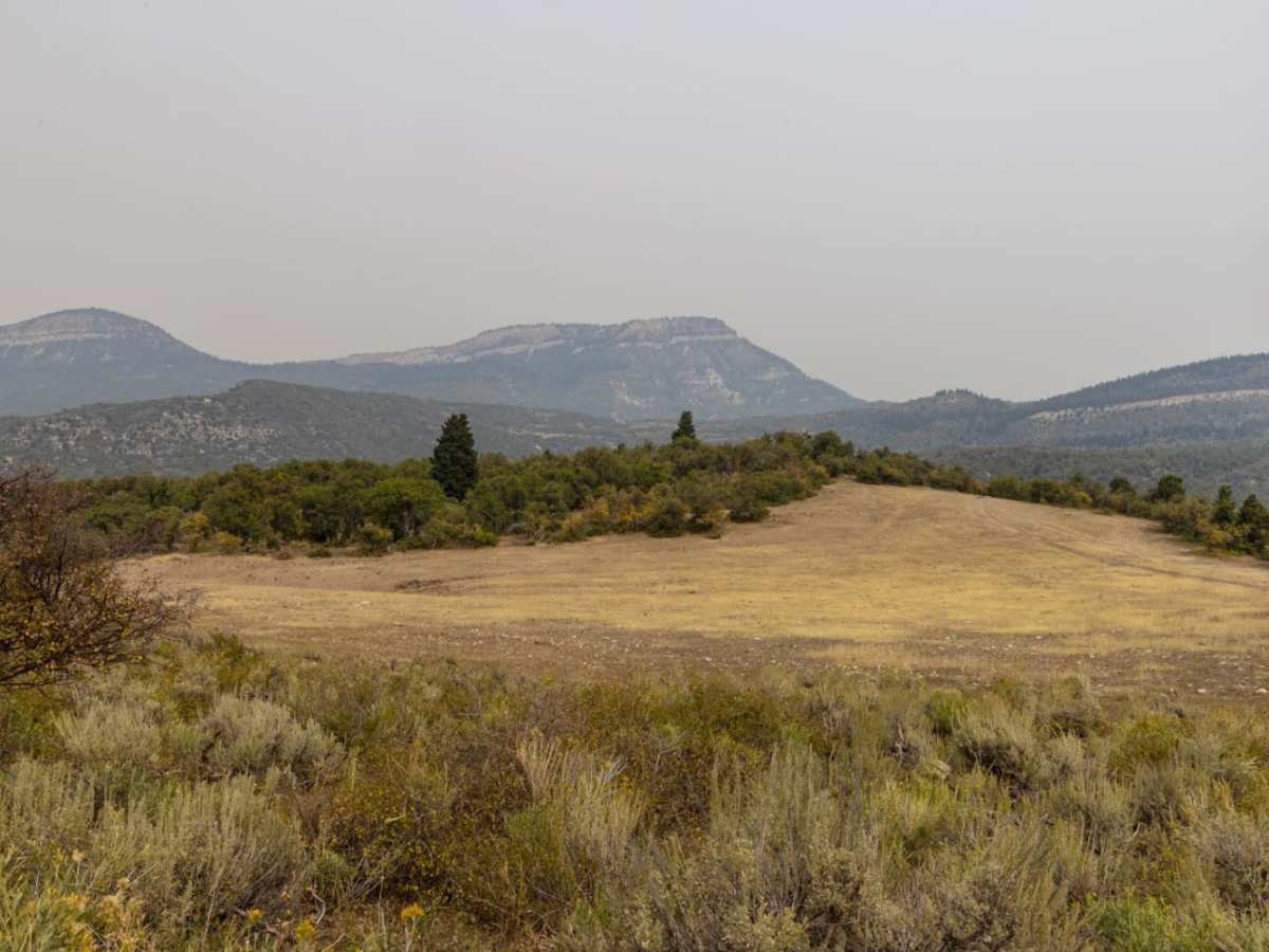 Willow Creek Road photo 5