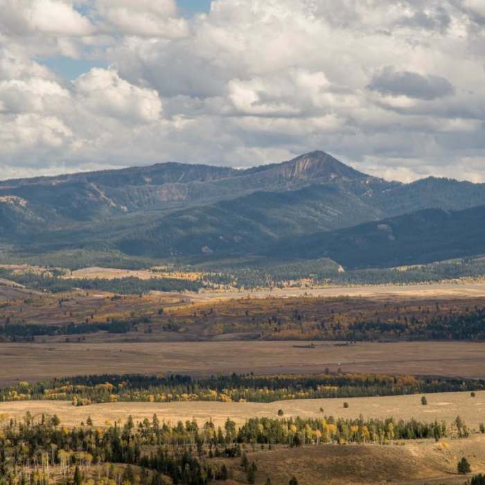 Near Signal Mountain