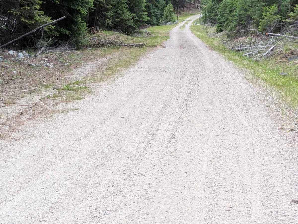 Chickadee Road photo 3