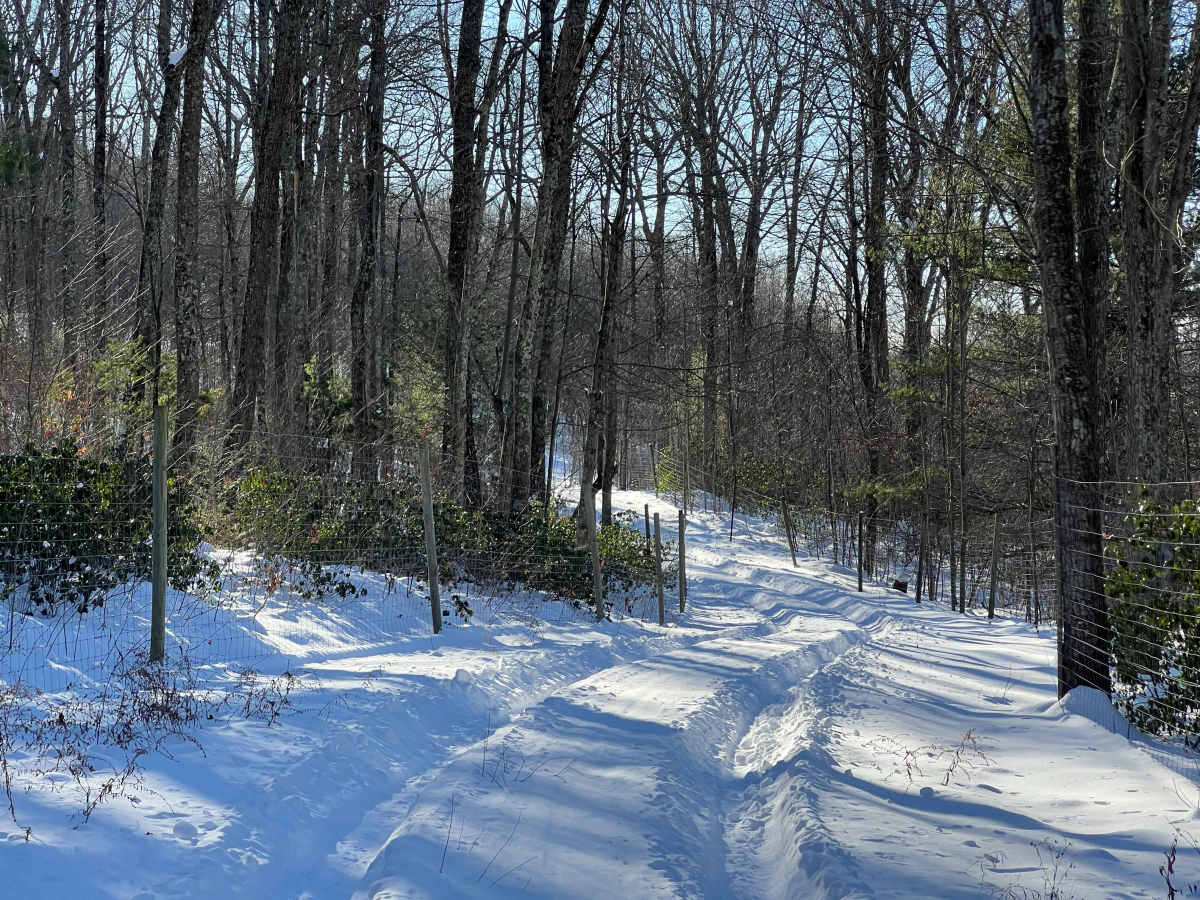 Wohlford Gap Trail photo 6