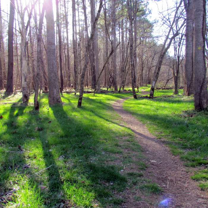 Near MST: West Point to Pump Station