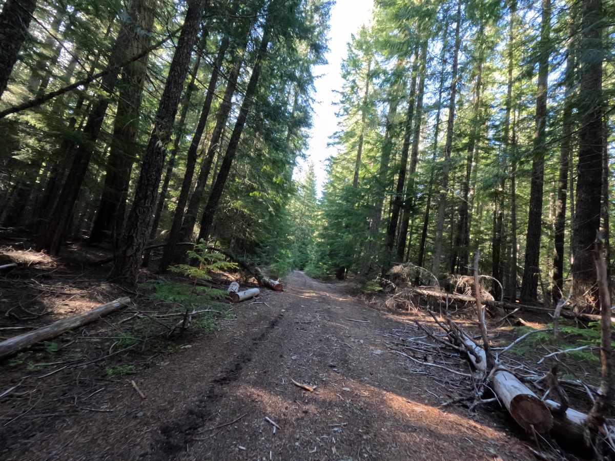 Klingers Camp Road - FS 3530240 photo 3