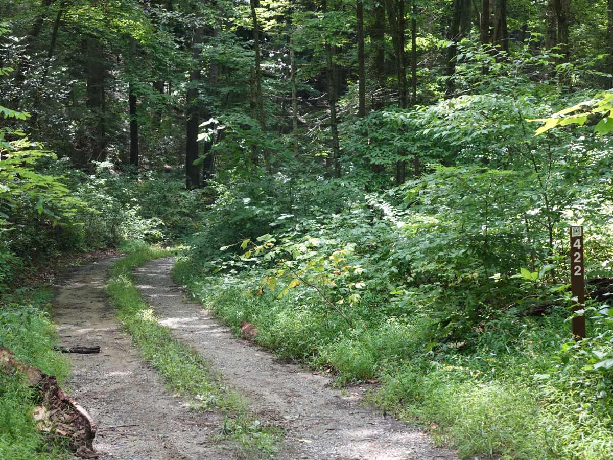 Shad Road photo 3