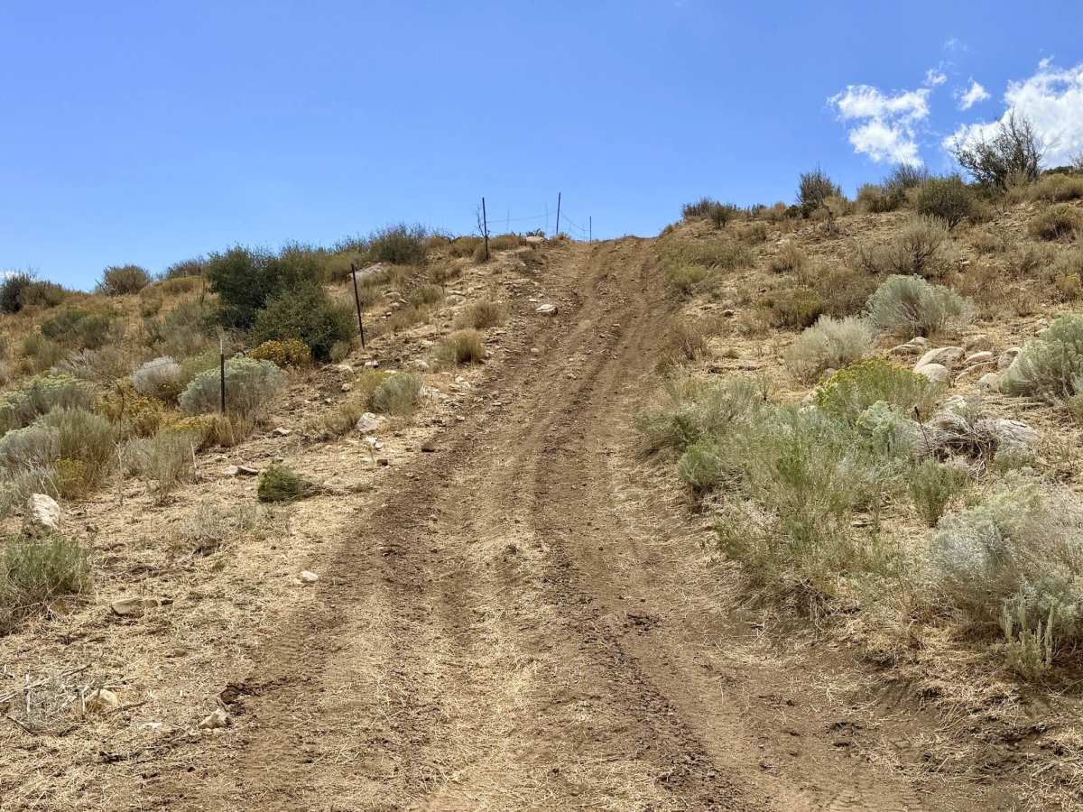 Lutts 3 - FS 17641 trail photo