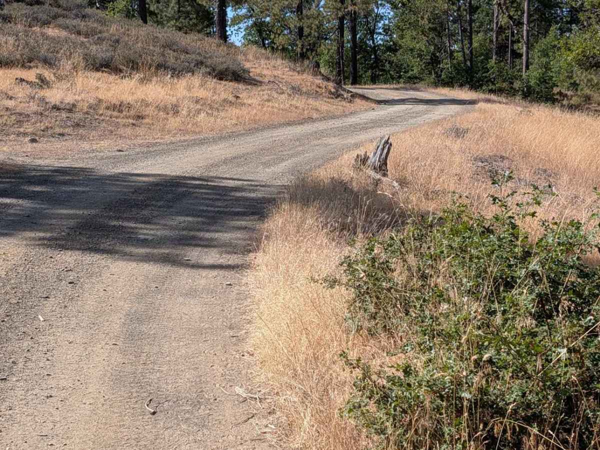 Friend Mountain Road - FS 2N15 photo 4