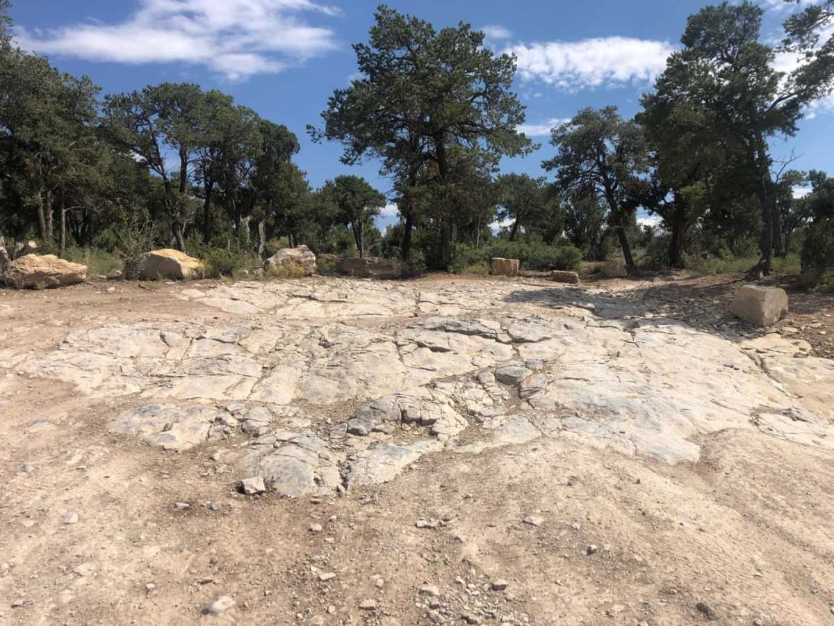 Goose Lake Trail photo 6
