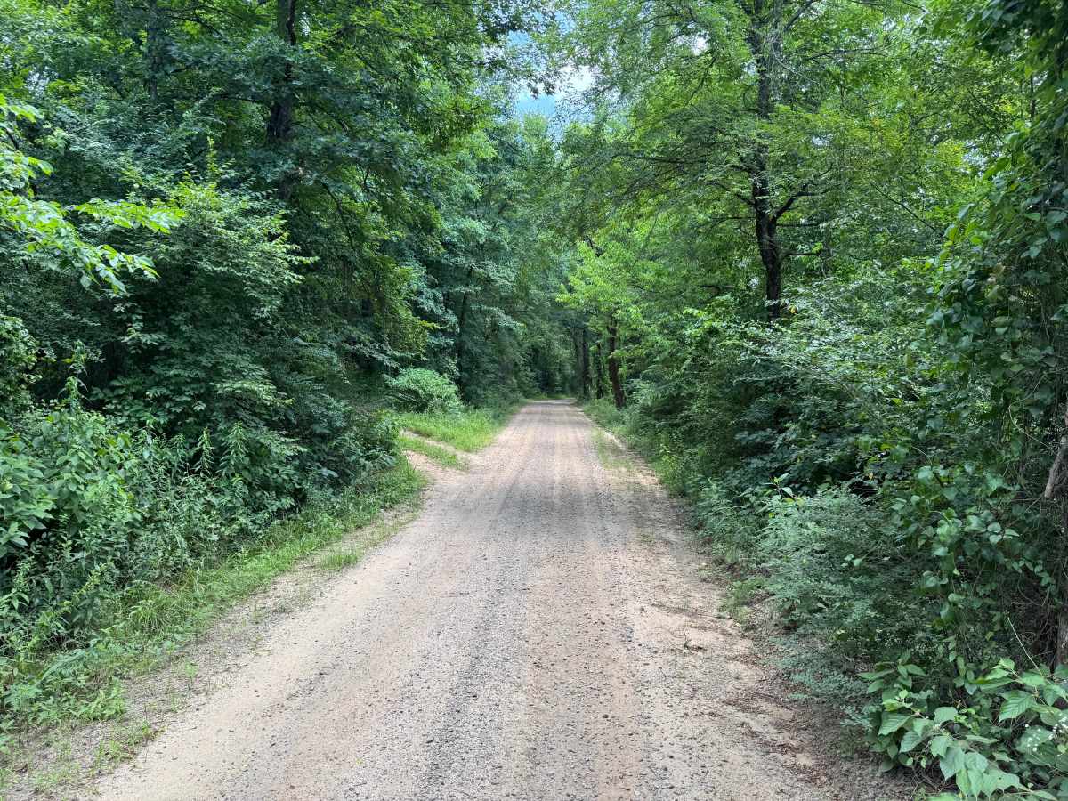 Millsap photo 3