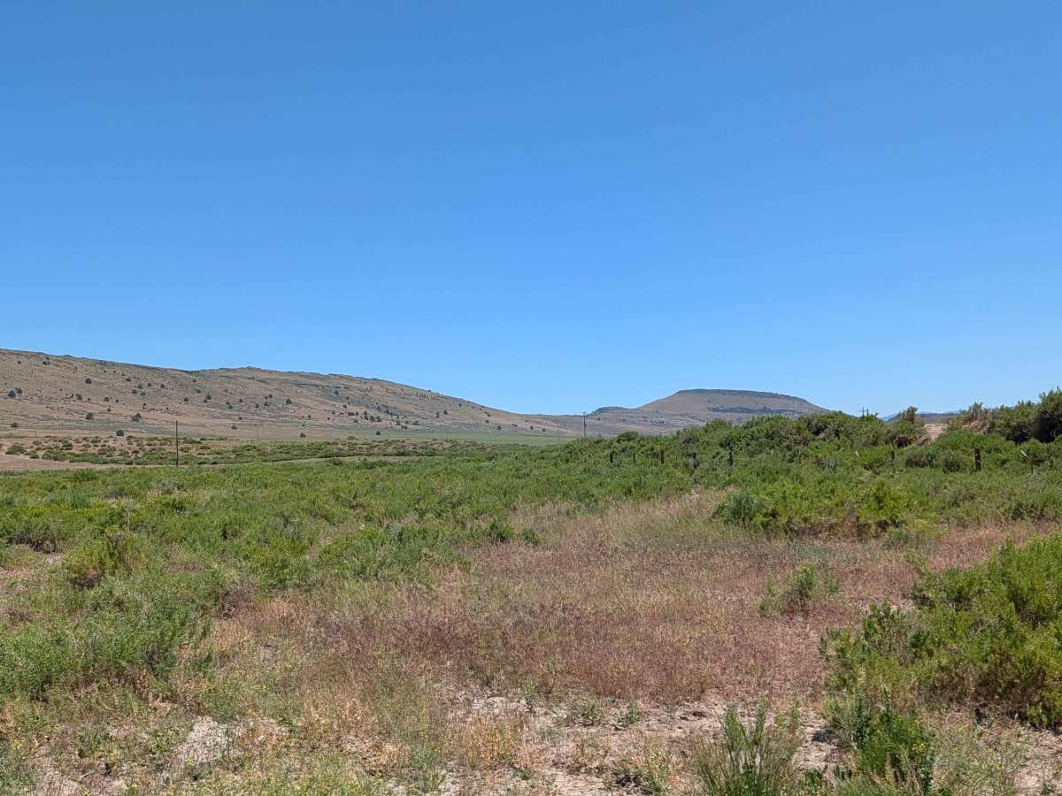 Brownell Lava Bed Road trail photo